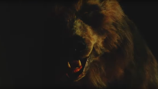 Read this: Inside <i>Grizzly II</i>, starring Laura Dern, George Clooney, Charlie Sheen, and a killer bear